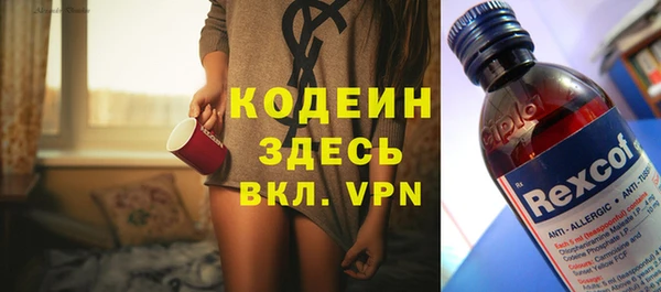 индика Беломорск