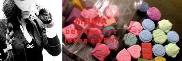 индика Беломорск