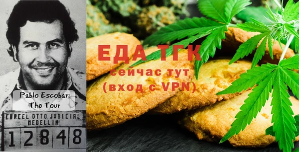 индика Беломорск
