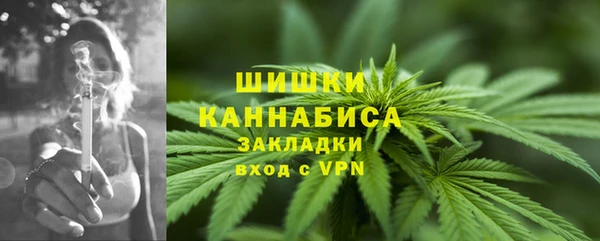 индика Беломорск