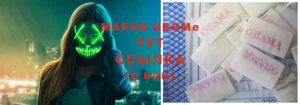индика Беломорск