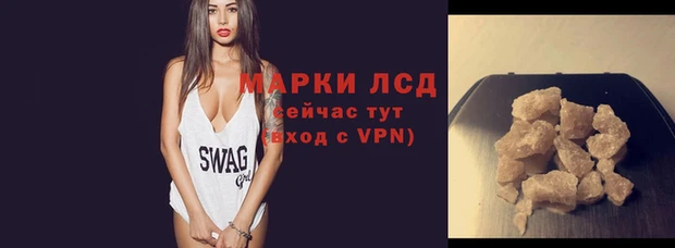 индика Беломорск