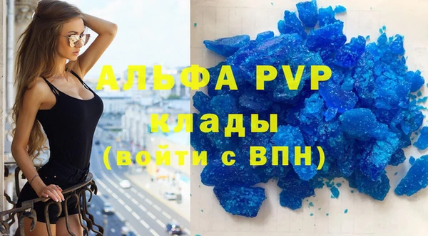 индика Беломорск