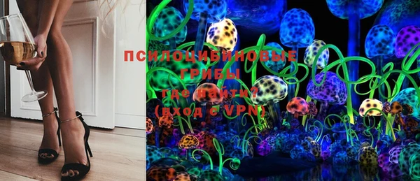 индика Беломорск