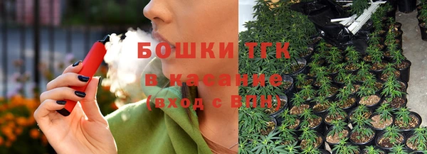 индика Беломорск