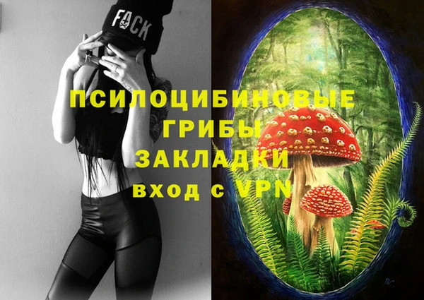 кокаин Белокуриха