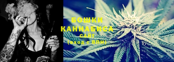 индика Беломорск