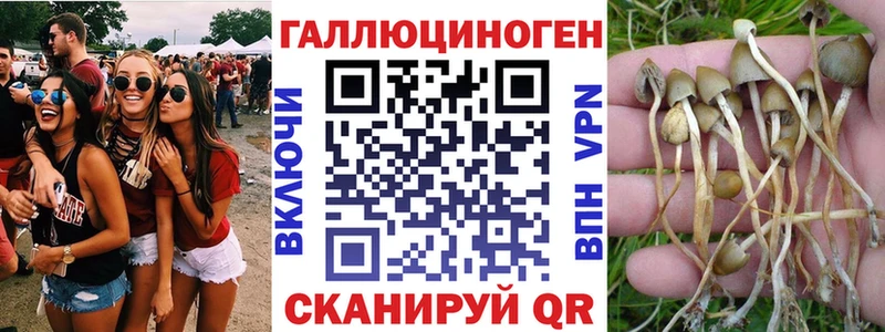 Купить  Жирновск  Псилоцибиновые грибы GOLDEN TEACHER 