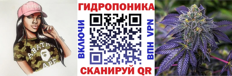 Купить где  Жирновск  Канабис OG Kush 